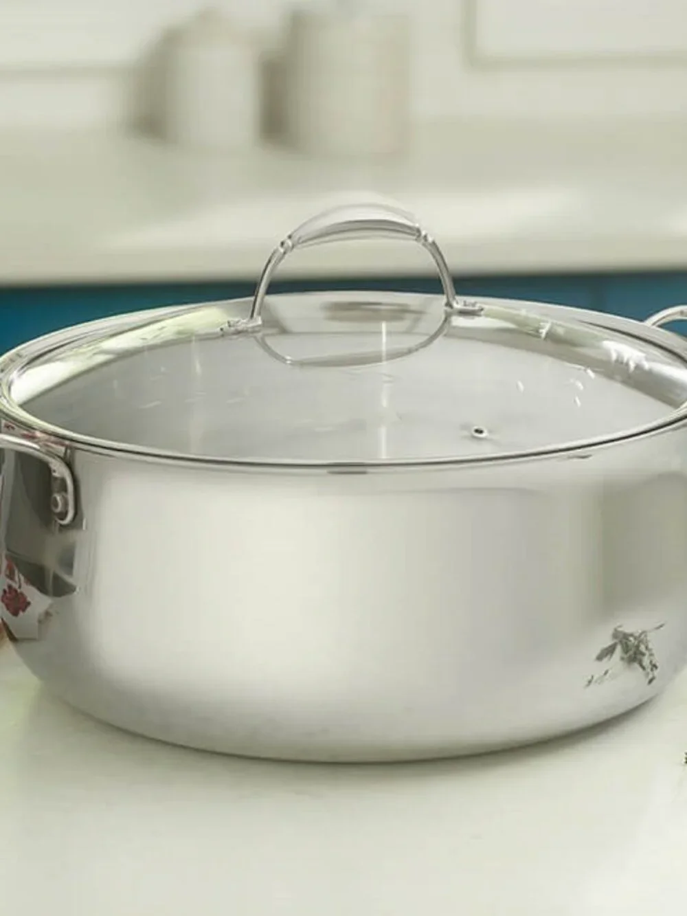 Princess Heritage® Tri-Ply Stainless Steel 18-Qt. Casserole 10834